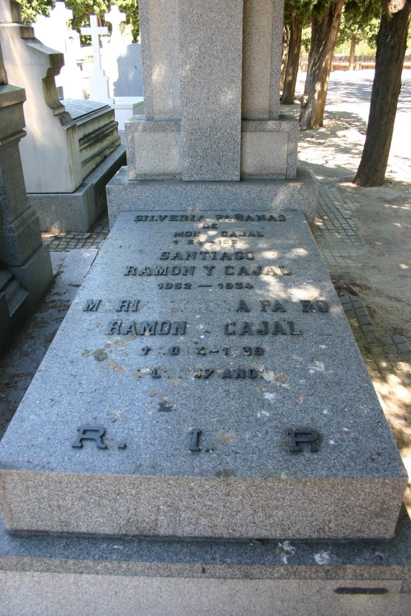 Santiago Ramon y Cajal's tomb, Madrid - 03.JPG
